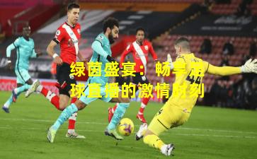绿茵盛宴：畅享足球直播的激情时刻