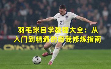 羽毛球自学教程大全：从入门到精通的自我修炼指南